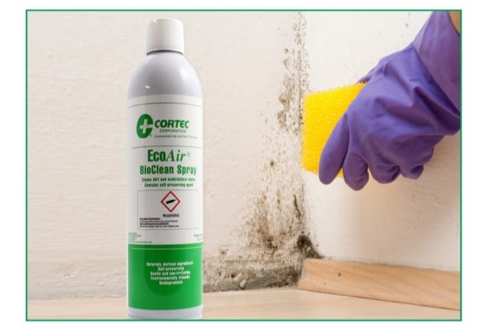 EcoAir Bio Clean Spray