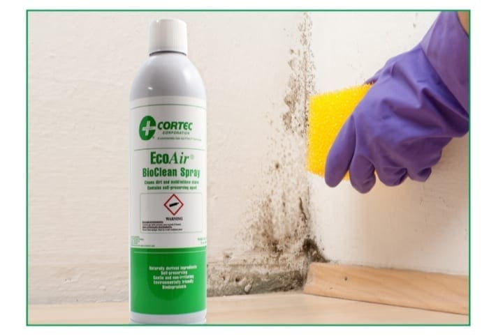 EcoAir Bio Clean Spray