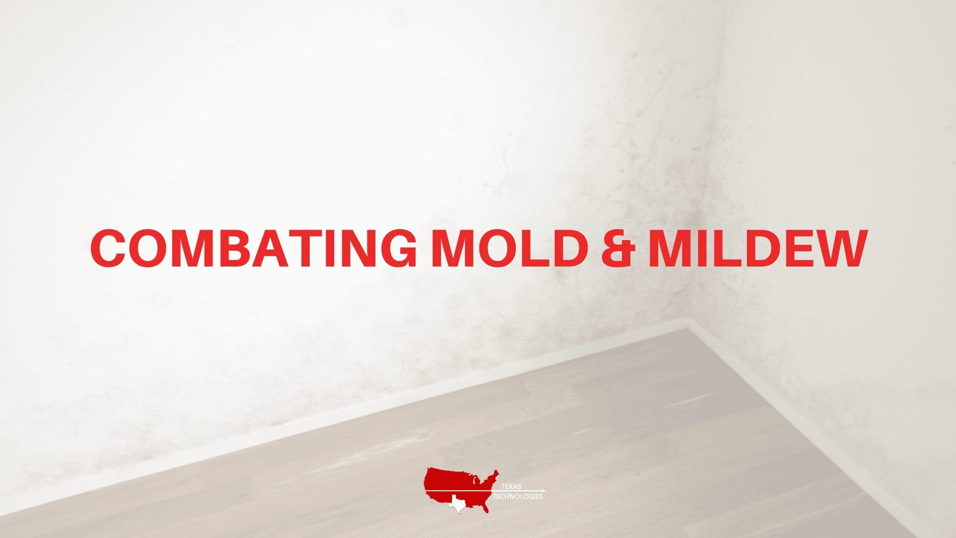 Combating Mold & Mildew